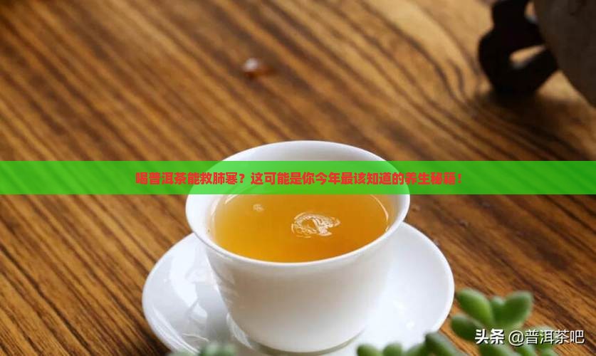 喝普洱茶对肺寒有什么好处