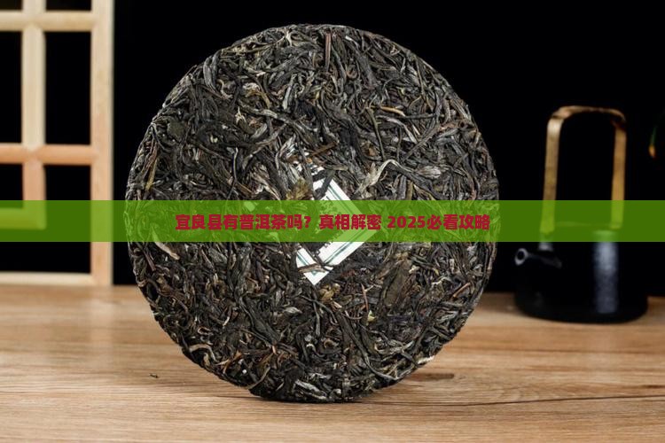 宜良县有普洱茶吗