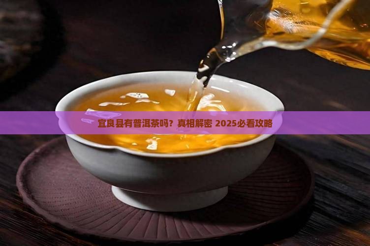 宜良县有普洱茶吗