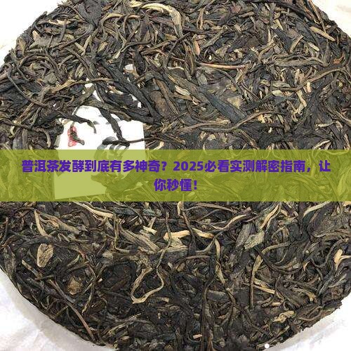 普洱茶发酵介绍