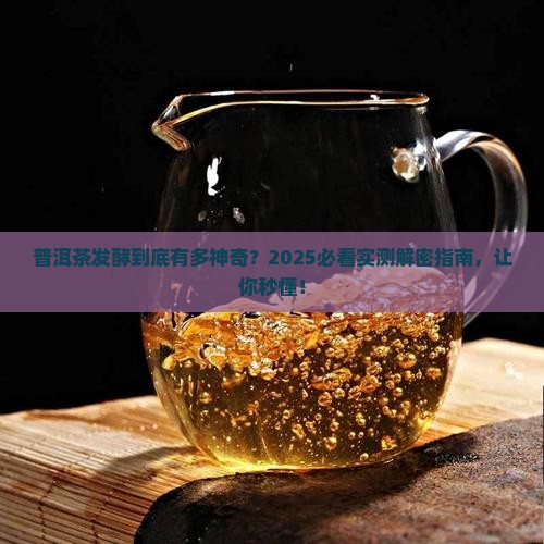普洱茶发酵介绍