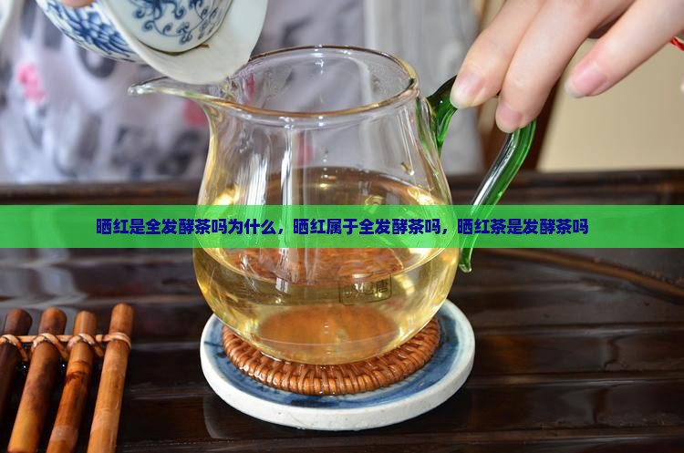 晒红是全发酵茶吗