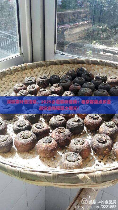 深圳茶叶普洱茶