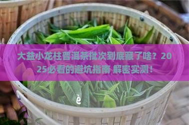 大益小龙柱普洱茶批次
