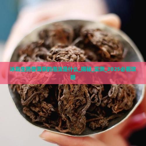 冰岛生熟普洱茶的泡法是什么