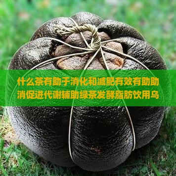 什么茶有助于消化和减肥