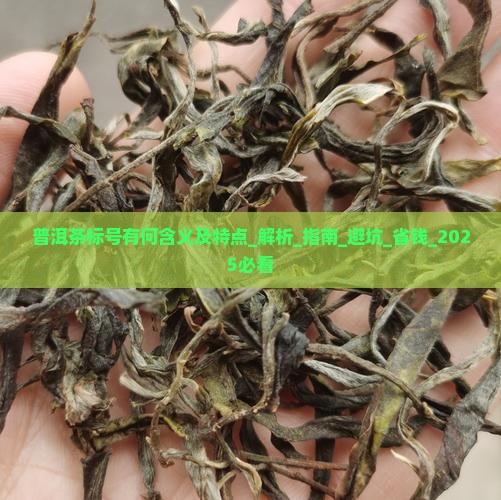普洱茶标号有何含义及特点