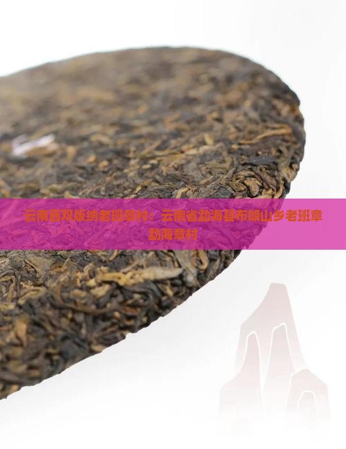 云南西双版纳老班章村