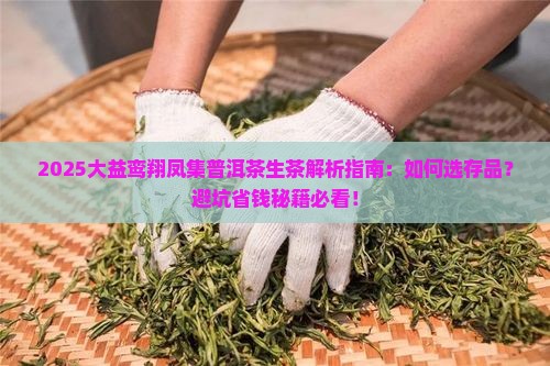 大益鸾翔凤集普洱茶生茶