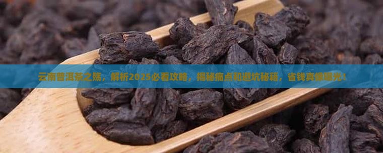 云南普洱茶之殇