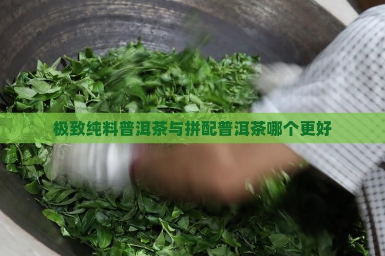 极致纯料普洱茶好吗