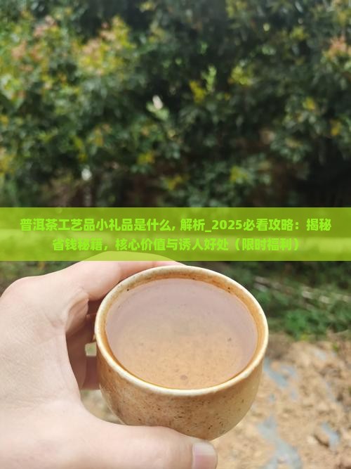 普洱茶工艺品小礼品是什么