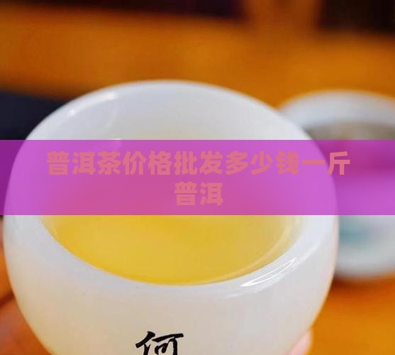 博茗普洱茶多少钱一斤
