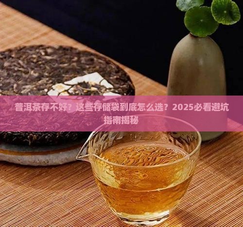 普洱茶存储袋推荐哪种
