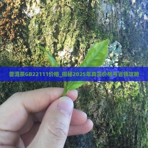 普洱茶GB22111价格