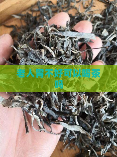 老人胃不好可以喝茶吗