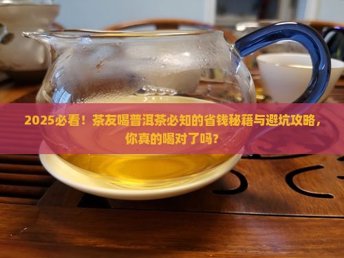 茶友喝普洱茶常见问题