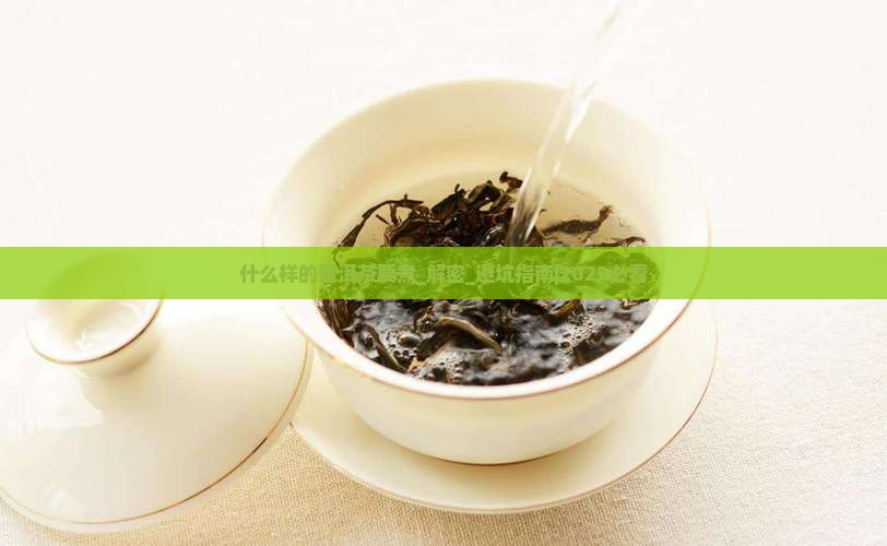 什么样的普洱茶要煮