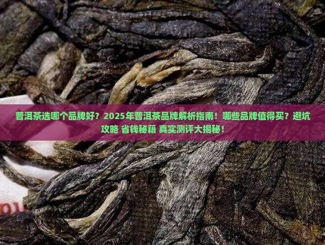 普洱茶选哪个品牌好一些