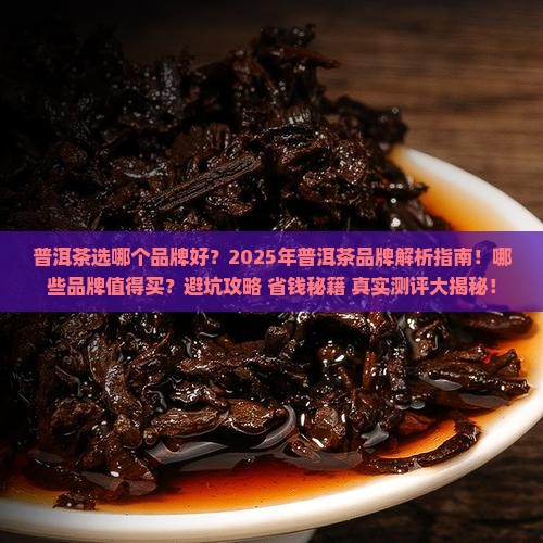 普洱茶选哪个品牌好一些