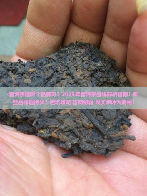 普洱茶选哪个品牌好一些