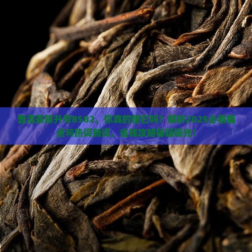 普洱茶陈升号8582