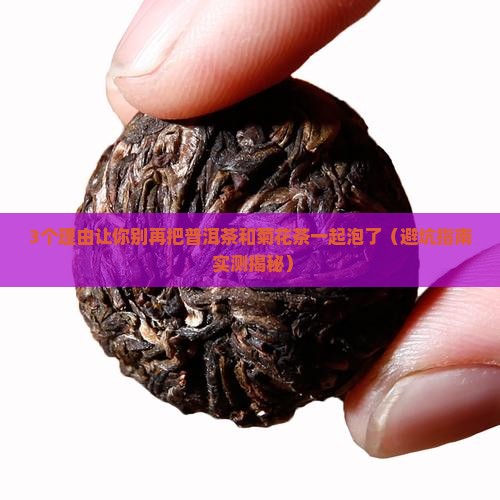 普洱茶和菊花茶一起泡的