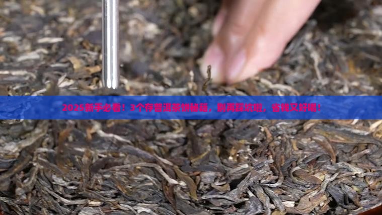 用什么存普洱茶饼好喝