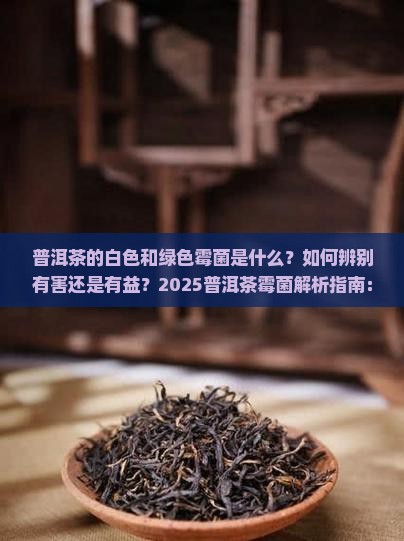 普洱茶的白色和绿色霉菌