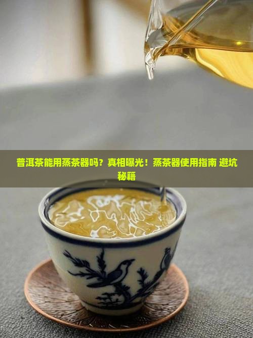 普洱茶能用蒸茶器吗