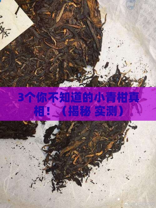 小青柑属于生茶还是熟茶