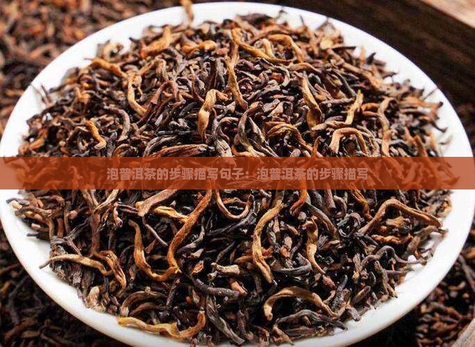 泡普洱茶的步骤描写