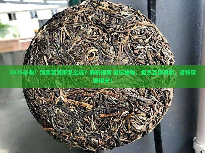 清爽的普洱茶推荐哪种茶