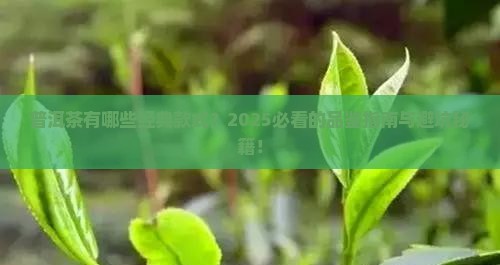 普洱茶有哪些经典款式特点