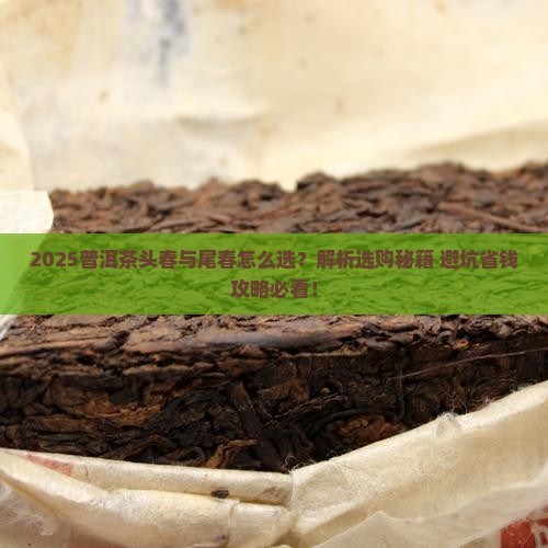 普洱茶头春如尾春分别