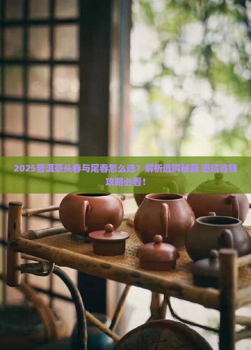 普洱茶头春如尾春分别