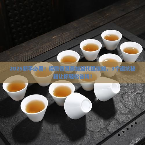 福鼎普洱茶加盟代理