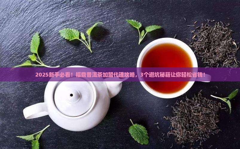 福鼎普洱茶加盟代理