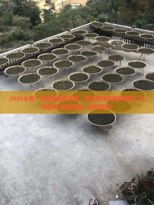 晚饭后喝普洱茶