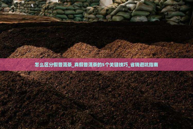怎么区分假普洱茶
