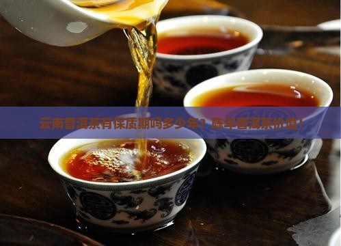 云南普洱茶有保质期吗多少年