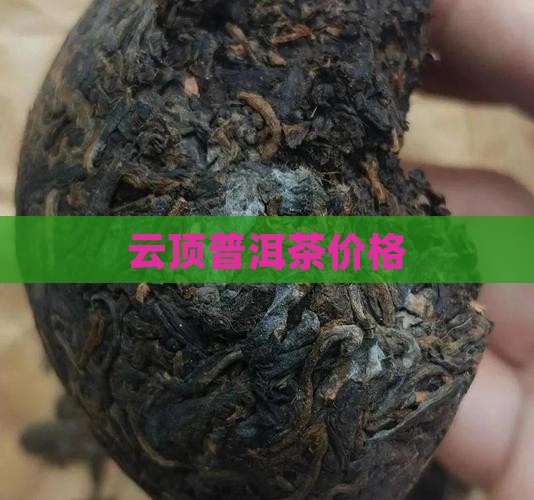 云顶普洱茶价格