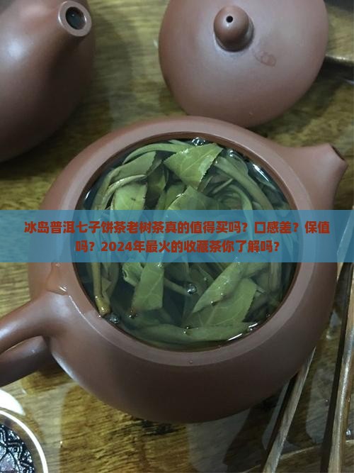 冰岛普洱七子饼茶老树茶