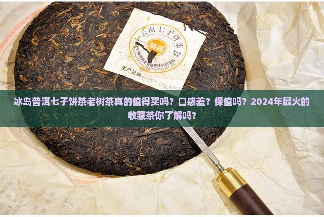 冰岛普洱七子饼茶老树茶