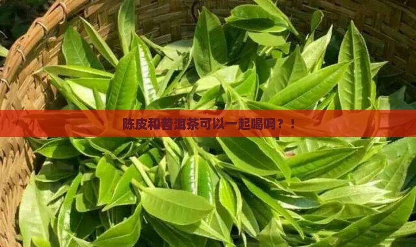 陈皮和普洱茶可以一起喝吗