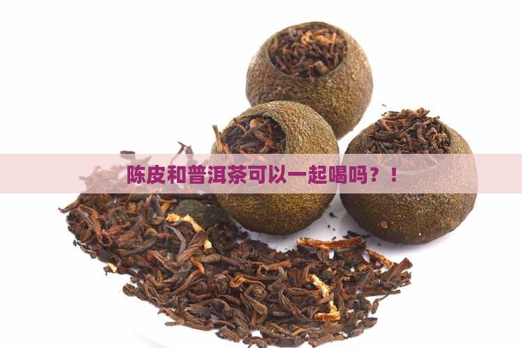 陈皮和普洱茶可以一起喝吗