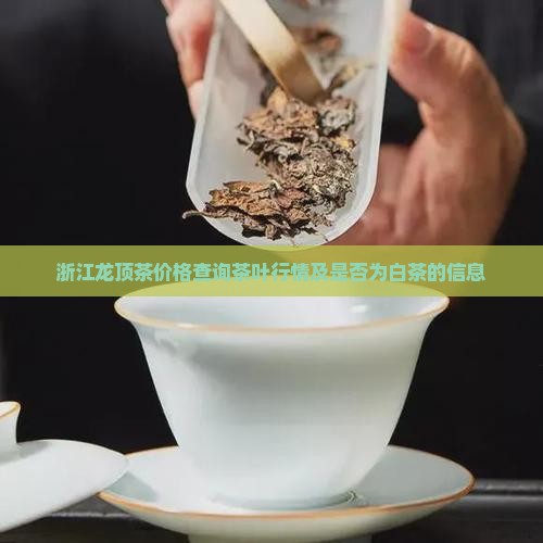 浙江龙顶茶价格