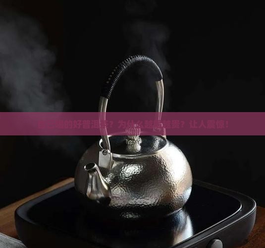 自己喝的好普洱茶