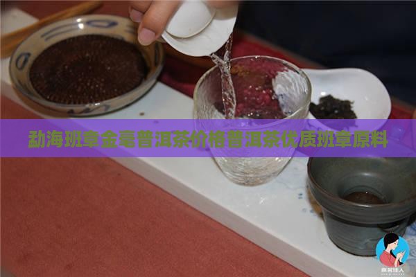 勐海班章金毫普洱茶