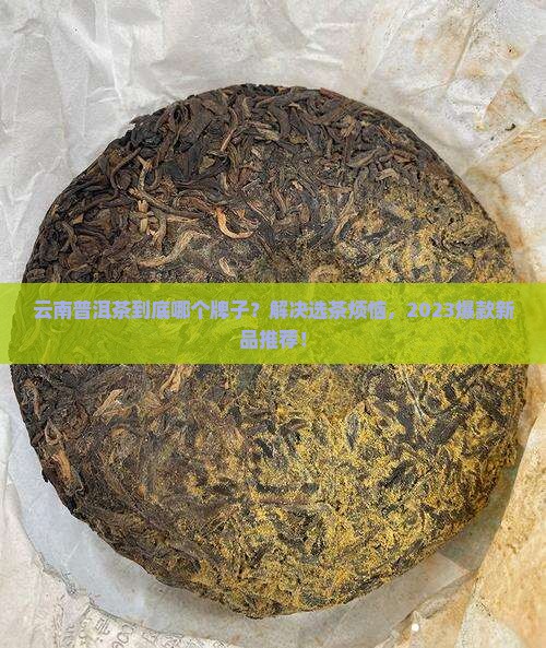 云南普洱茶比较好的茶叶 云南普洱茶比较好的茶叶